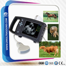 DW-S650 ultrasound machine for pigs farming, swine ultrasound